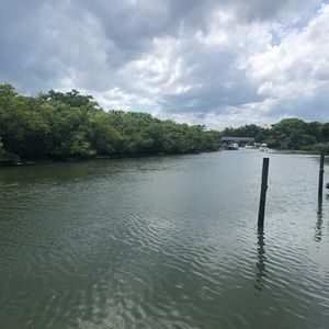 Meet your Posher, Gesy